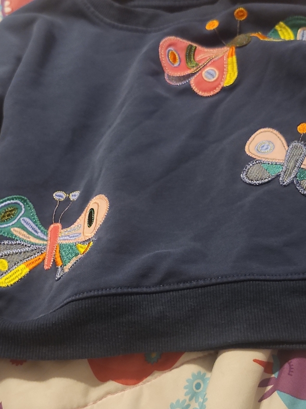 Navy Sweatshirt with Colorful Butterfly Embroidery
